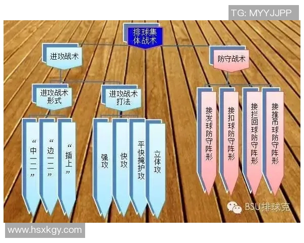 杭州排球队反击战术解析与未来发展展望